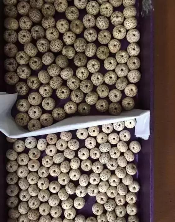 教你做条朱砂供玩玩！