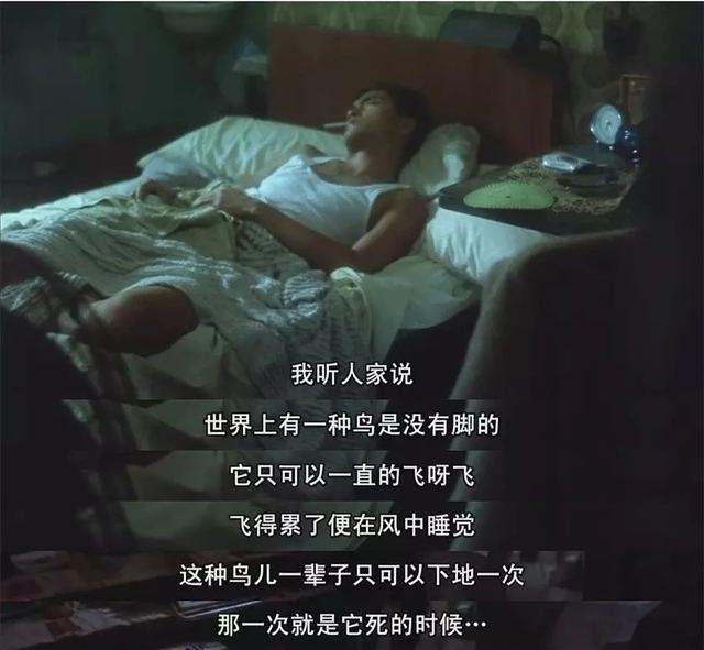 有恃无恐什么意思 什么叫被爱的有恃无恐