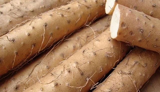 铁棍山药怎么吃（铁棍山药的最佳做法）