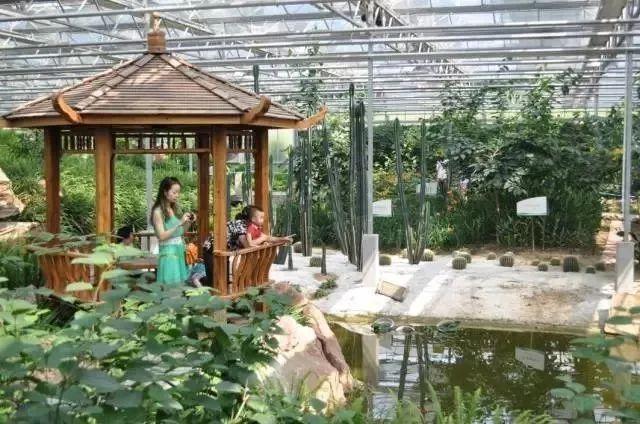 北川维斯特农业观光园好玩吗?休闲旅游酒店!