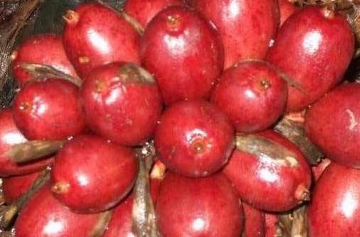 什么是草果 草果的功效与作用