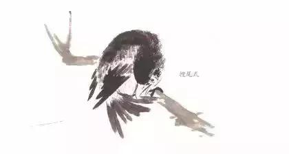 分步骤详解，写意翎毛基本画法，从结构到姿态，跟着学有大收获