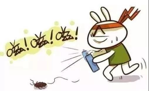 蟑螂药哪种最好用(家里放十大蟑螂药品牌)