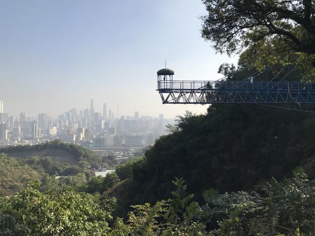 广州摩星岭在什么地方(广州摩星岭游玩攻略)