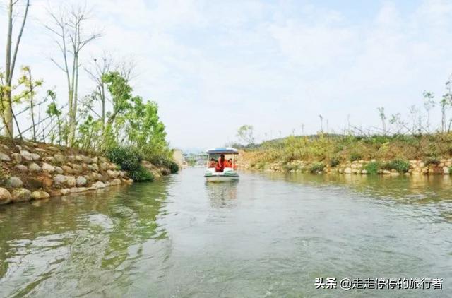 徐其修凉茶怎么样(徐其修凉茶喝了有用吗)