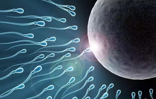 备孕前男人要禁欲多久（备孕前爸爸要注意事项）