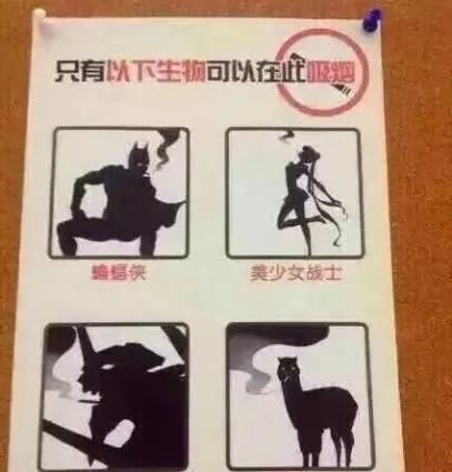 薛之谦开的火锅店在哪里（薛之谦开的火锅店叫什么）