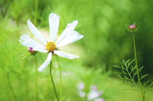 人心冷漠，世态炎凉，别高估了自己和任何一个人的关系