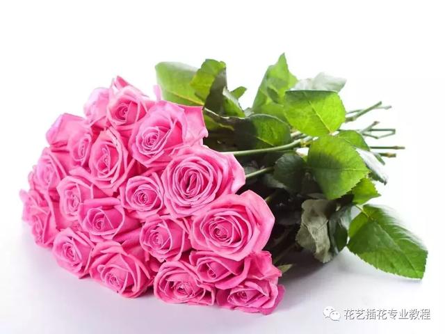 鲜花保鲜剂怎么用（鲜花保鲜剂一次放多少）