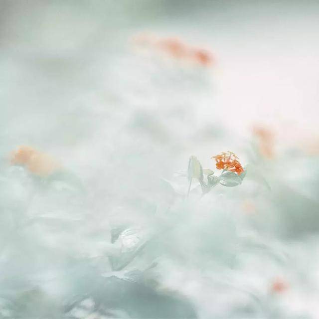 座右铭是什么意思（正能量激励自己的座右铭）