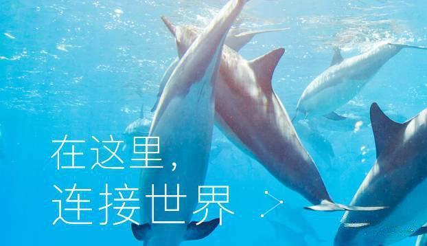 企鹅号、头条号、大鱼号、百家号各自特点你知道多少？