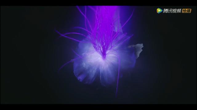 精绝古城结局什么意思（精绝古城结局完整解析）