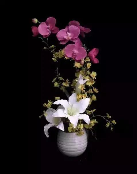 名贵花草排名(名贵花卉图片名称大全)