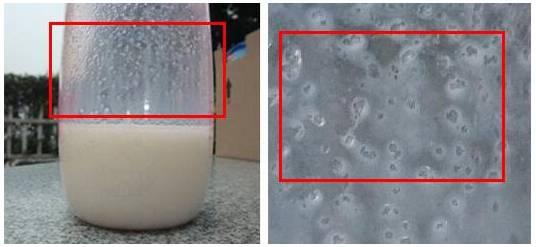 爱他美奶粉真假怎么辨别（正品与假爱他美奶粉的特征）