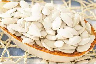 白瓜子的功效与作用（南瓜子和白瓜子哪种功效好）