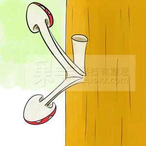 性取向是什么意思（ 性取向不正常的预兆）