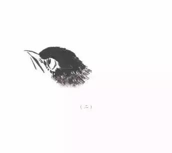 分步骤详解，写意翎毛基本画法，从结构到姿态，跟着学有大收获