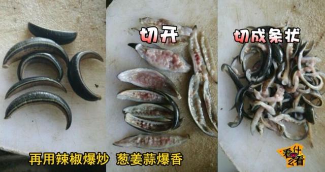 水蛭怎么吃?水蛭的功效与作用!