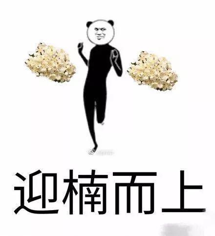 石楠的味道（石楠花的味道像什么）