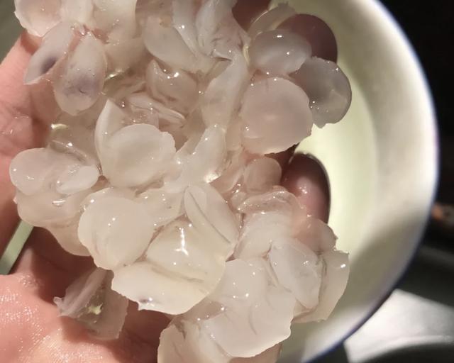 吃皂角米禁忌（吃皂角米有什么好处）