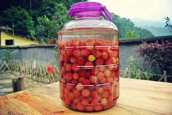 杨梅酒的功效（常喝杨梅酒有什么好处）