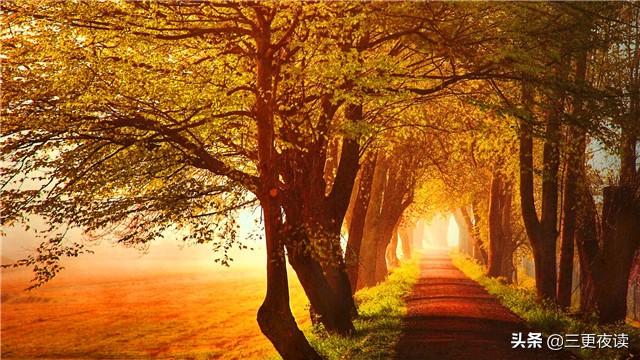 淡泊明志的意思（淡泊明志和宁静致远的意思）