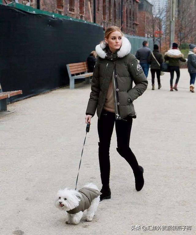 moncler是什么牌子(moncler是什么档次)