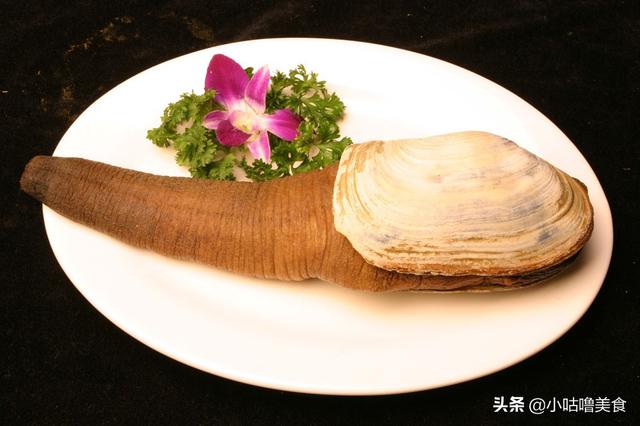 象拔蚌怎么吃（冰冻过的象拔蚌家常做法）