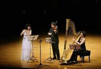 竖琴好学吗前景如何（竖琴为什么很少人学）