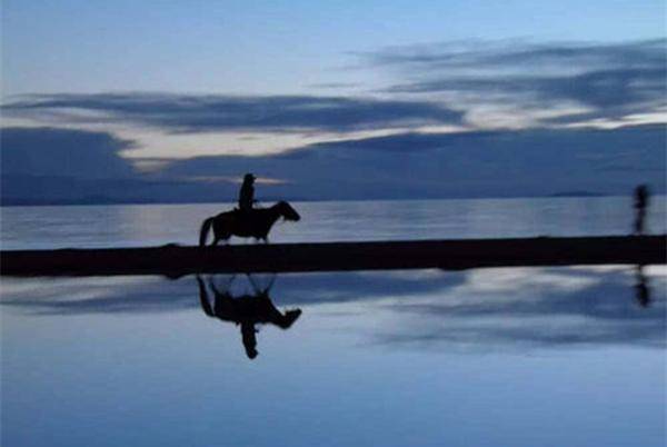 富含哲理的诗句有哪些（蕴含人生哲理的古诗）