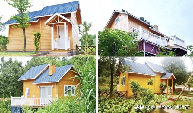 徐其修凉茶怎么样(徐其修凉茶喝了有用吗)