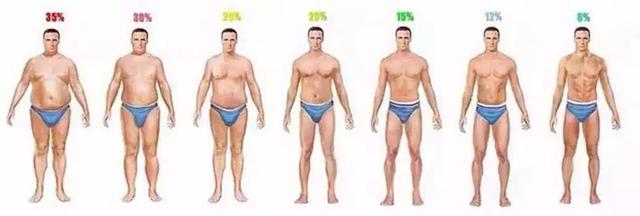 bmi是什么意思（bmi指数男女标准）