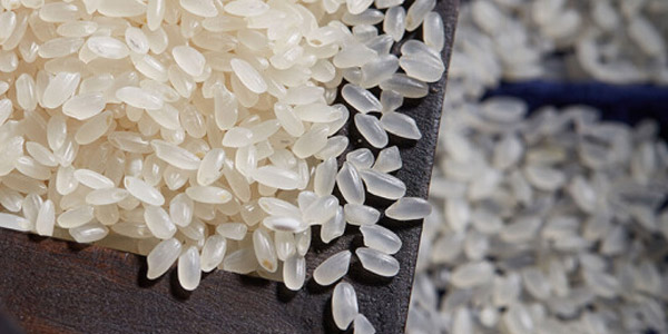 什么米便宜又好吃?这几款非常不错!