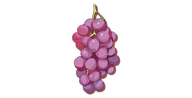 单宁是什么（红酒单宁越高越好吗）