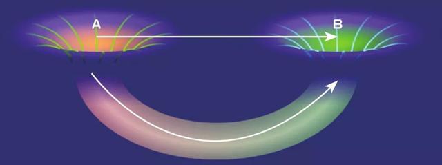 什么是虫洞(虫洞真的存在吗)