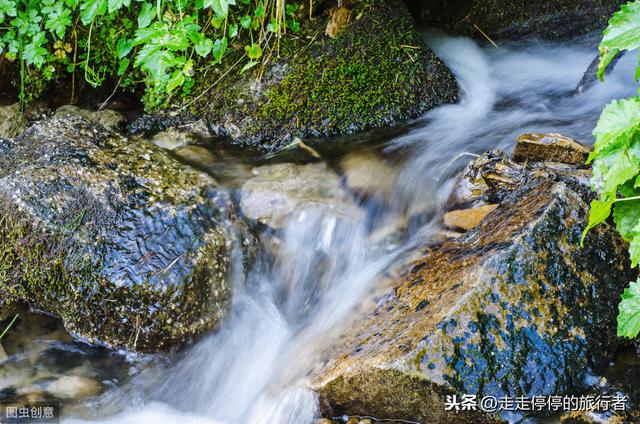 徐其修凉茶怎么样(徐其修凉茶喝了有用吗)