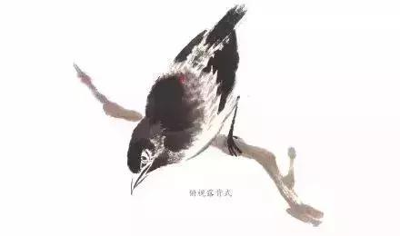 分步骤详解，写意翎毛基本画法，从结构到姿态，跟着学有大收获