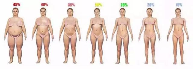 bmi是什么意思（bmi指数男女标准）