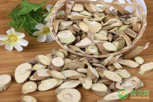 桑枝的作用与功效（桑枝的奇特功效）