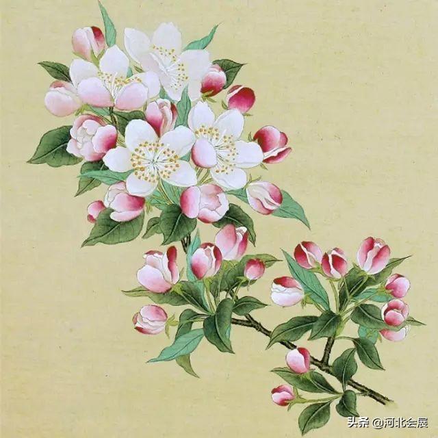 拜读的意思（与拜读意思相近的敬辞）