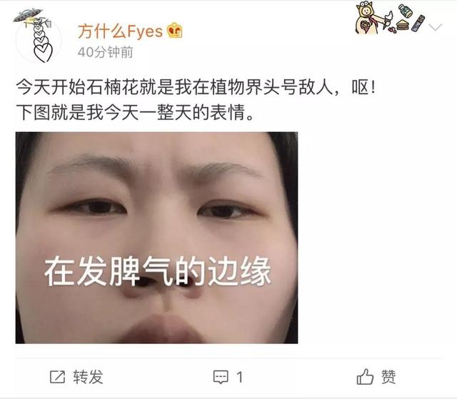 石楠的味道（石楠花的味道像什么）