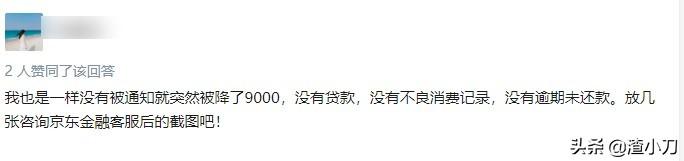 京东白条安全吗（为什么京东白条突然降额度了）