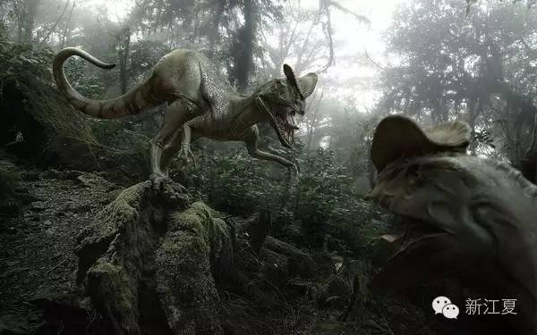 洪荒之力是什么意思（洪荒之力到底是啥意思）