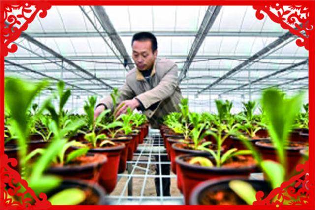 在农村办厂有什么**（适合农村办厂的**）