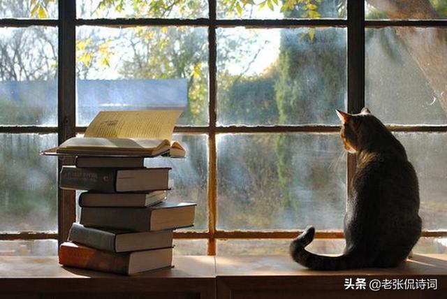 世态炎凉什么意思(世态炎凉人情淡薄全句配图)