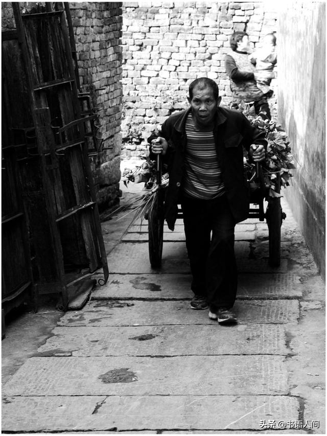 什么是 空巢老人（ 空巢老人和独居老人的区别）