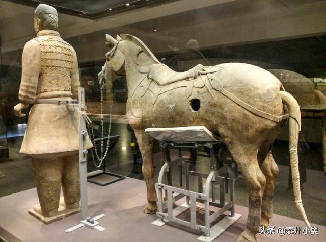 兵马俑介绍和资料（兵马俑详细介绍和资料）