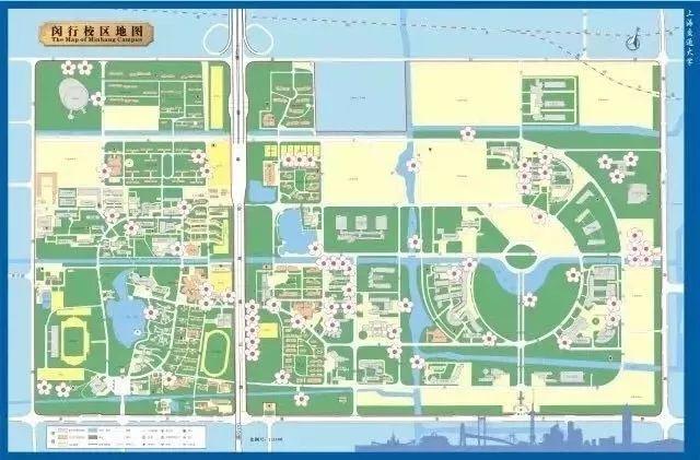 石楠的味道（石楠花的味道像什么）