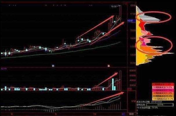 **竞价怎么看(**竞价散户挂单技巧)