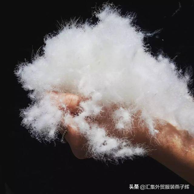 moncler是什么牌子(moncler是什么档次)